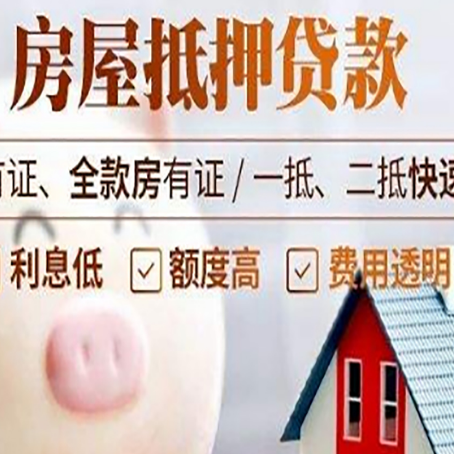 揭阳贷款助贷公司新渝启服成立时间久